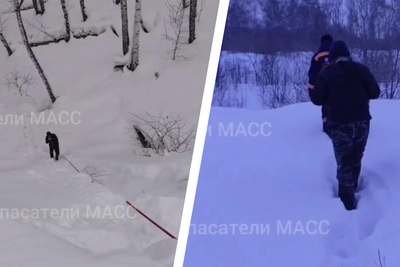 Мужчина застрял в овраге во время лесной прогулки