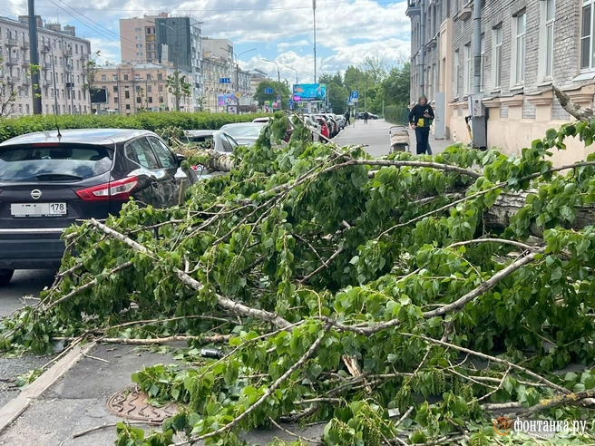 Разгул ветра в Петербурге не обошелся без повреждений | Источник: читатель «Фонтанки»