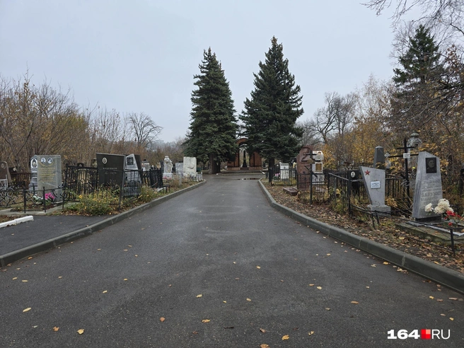 Аллея, ведущая к мемориальному комплексу Чернышевского | Источник: Семен Коротов-Майбах / 164.RU