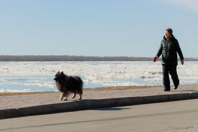 В Архангельской области ночью было -11°, днем ожидается до +15°
