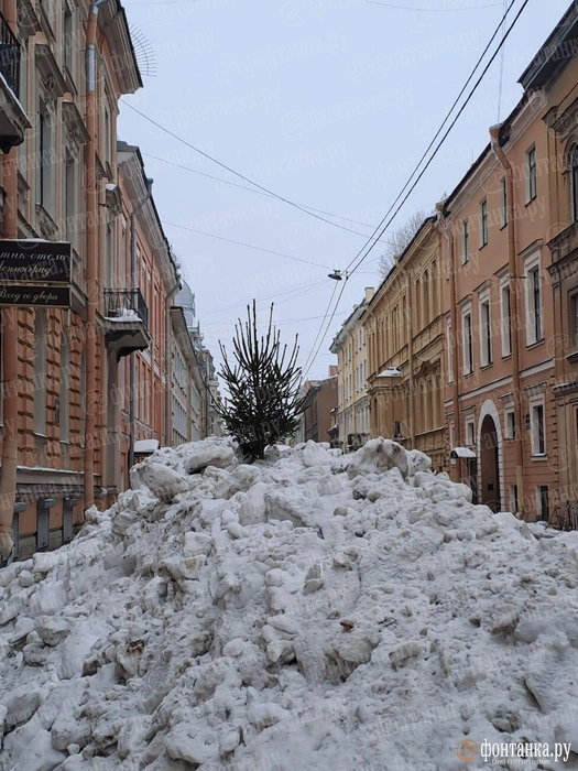 Снежная гора с еловой короной выросла посреди улицы в Петербурге | Источник: «Фонтанка.ру»