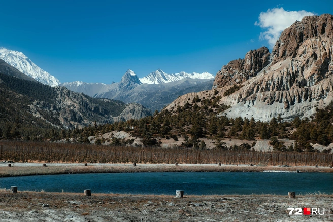 Источник: Екатерина Бурко