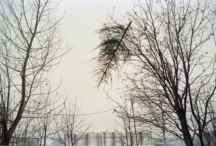 Леонид Тишков. «Farewell to the Christmas Tree. Прощание с новогодней елкой». 2000 | Источник: пресс-служба музея