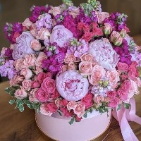 Аватарка Девочка