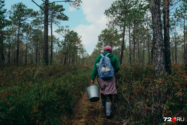 Когда идешь по болоту, приходится прикладывать двойные усилия. Ноги тонут, силой выдергиваешь их и идешь дальше | Источник: Анастасия Малышкина / 72.RU