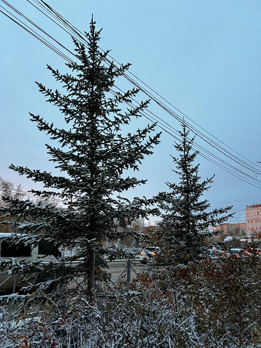 Ветер будет умеренным | Источник: Ольга Донская / 14.RU