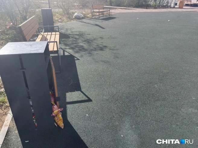 Источник: Любовь Никитина / CHITA.RU