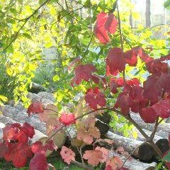 На водоемах действует желтый уровень опасности | Источник: www.city-n.ru