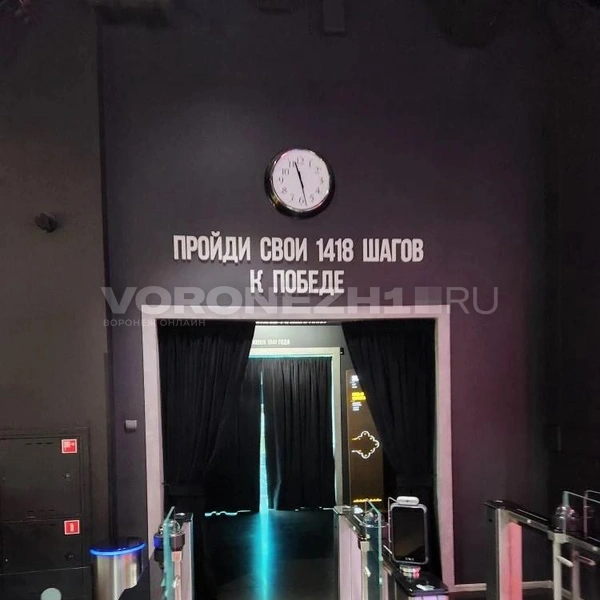 Источник: Ирина Булгакова/ Voronezh1.ru