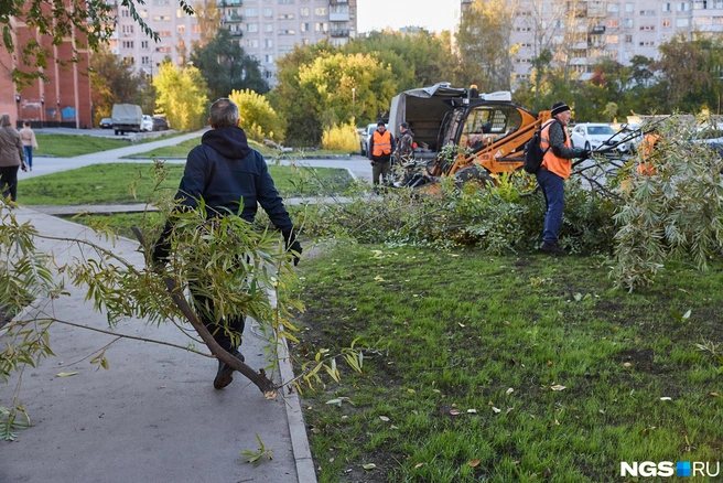 Мусор, листва и сухие ветки будут вывезены на полигоны | Источник: Александр Ощепков / NGS.RU