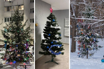 Beautiful and ugly holiday trees in Ufa's courtyards
