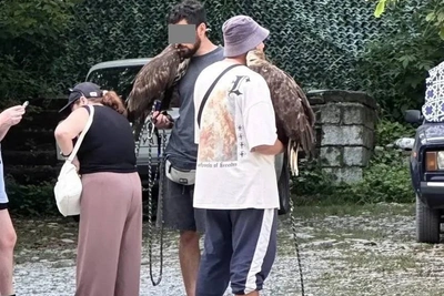 Фотограф с хищными птицами попался в Сочи