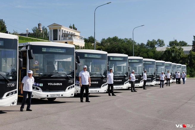 30 новых автобусов стройным рядом выстроились на Центральной набережной | Источник: Алексей Волхонский / V1.RU