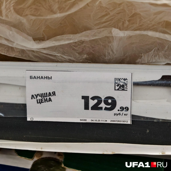 Источник: Булат Салихов / UFA1.RU