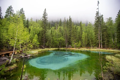 Tourists’ antics anger Altai residents