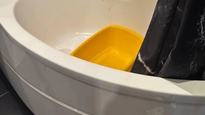 Источник: Официальный телеграм-канал прокуратуры Санкт-Петербурга