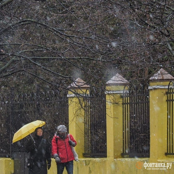 Источник: Михаил Огнев / «Фонтанка.ру»