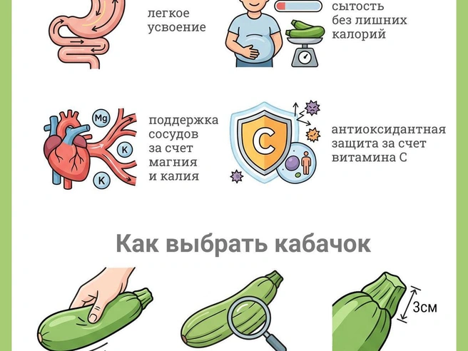 Оптимальным способом приготовления кабачков является запекание, однако в сыром виде их можно употреблять в составе салатов и овощных смузи | Источник: Юрий Орлов / Городские медиа