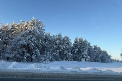 МЧС предупреждает об опасных морозах и тумане в регионе