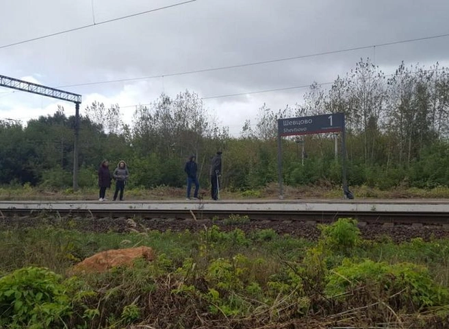 В Рязанском районе поезд насмерть сбил мужчину | ya62.ru