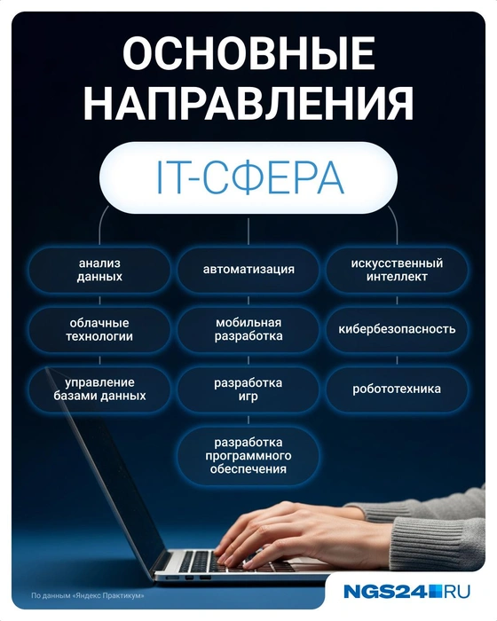 Общие ветки IT-сферы | Источник: Евгения Бикунова / Городские порталы