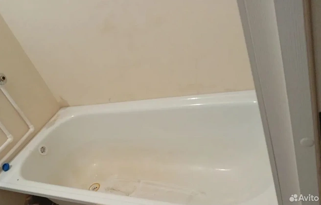 Источник: avito.ru
