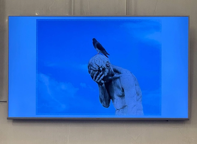 Источник: Ксения Клочкова / «Фонтанка.ру»