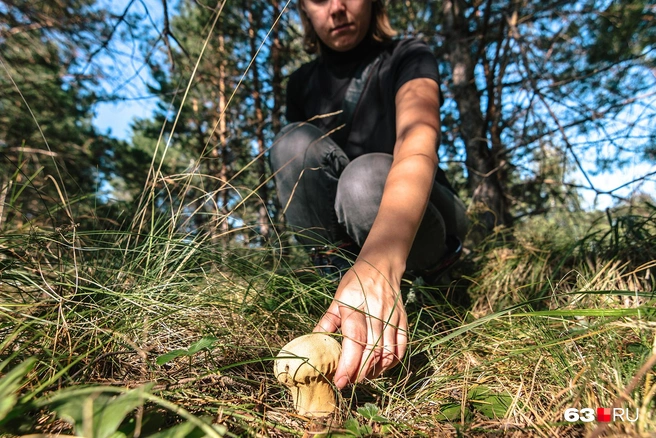Камеры наблюдения в лесу Канады сняли ведьм - фото | РБК Украина