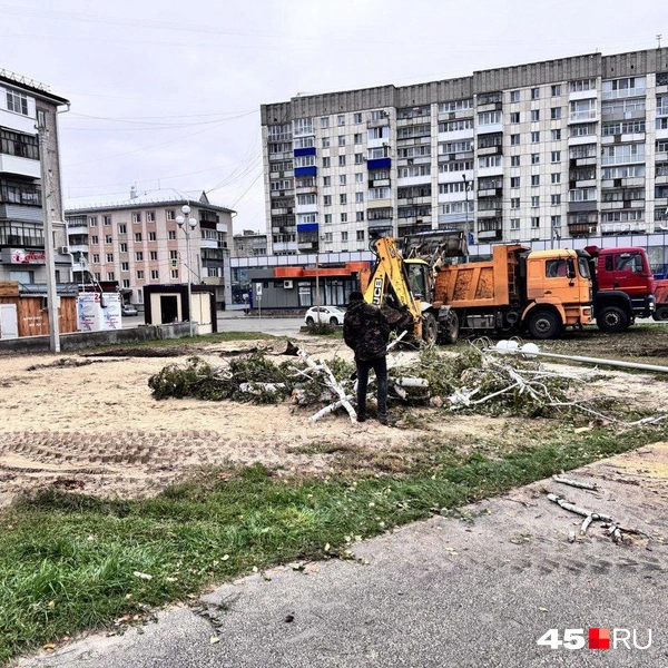 Деревья спилили еще 30 сентября, сегодня 1 октября их увозят | Источник: Юлия Король /45.ru