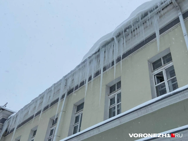 Источник: Дмитрий Волгин / Voronezh1.ru
