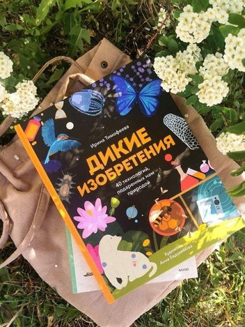 Космос, мифы и наука: 5 детских книг, которые интересно прочитать и взрослым