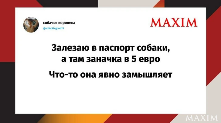 Лучшие шутки недели и «усадьба графа Балконского» | Источник: MAXIM/ X (Twitter)