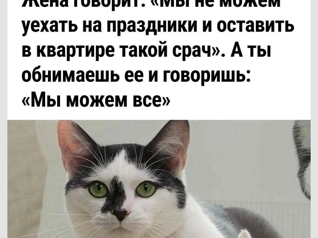 Поддержка — это главное | Источник: Городские медиа