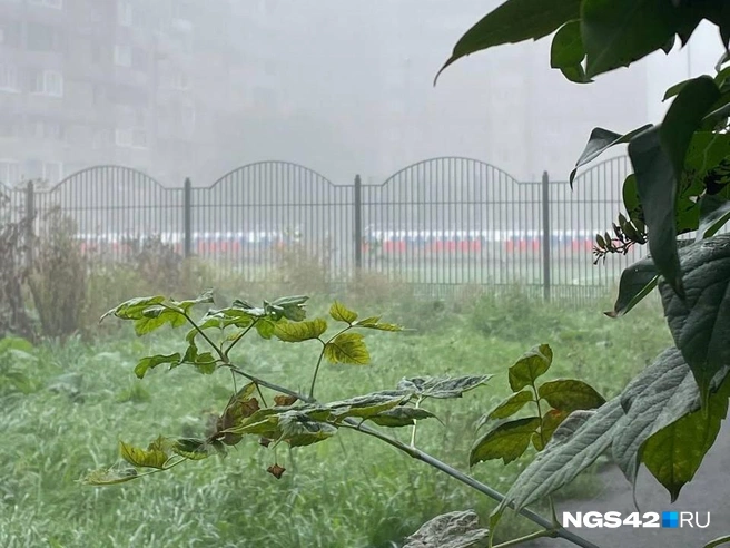 Источник: читатели NGS42.RU