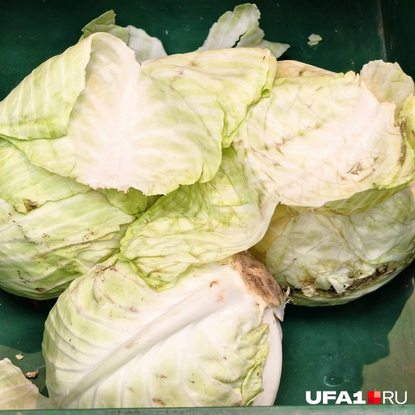 Источник: Булат Салихов / UFA1.RU