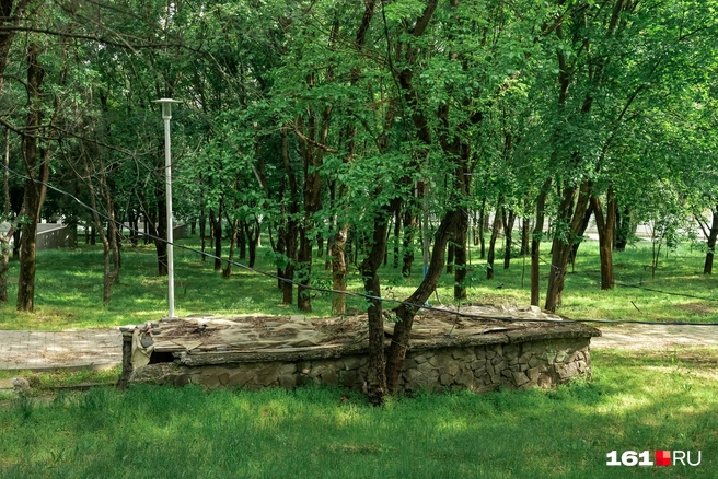 Источник: Евгений Вдовин / 161.RU