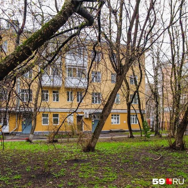 Отголоски прошлого во дворе — старая лестница | Источник: Тимофей Калмаков / 59.RU