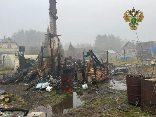 Трагедия-близнец: еще двое детей погибли при пожаре в Ленобласти | Источник: Прокуратура Ленинградской области