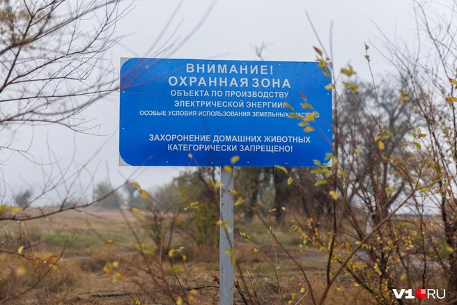 На месте разрушенного кладбища появился специальный знак, строго запрещающий захоронения  | Источник: Алексей Волхонский / V1.RU