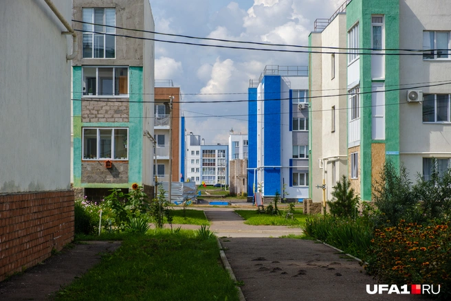 Зеленые, синие, голубые — любые