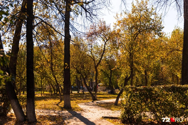 Весь сентябрь выдался теплым и солнечным. Прогноз погоды говорит нам, что теперь будет облачно | Источник: Ирина Шарова / 72.RU