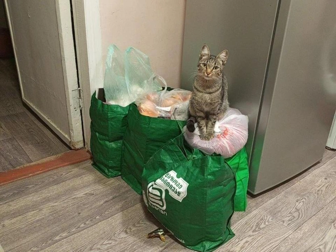 Раздел «Помощь по дому»: подогреваем продукты | Источник: читатель V1.RU
