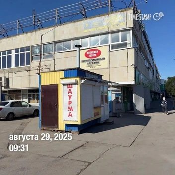 А эта шаурмичка кормила всех торговцев рынка у «Океана» | Источник: «МУП „Зеленстрой“ / vk.com