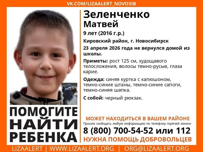 Всех, кто располагает информацией, просят звонить по телефонам 8-800-700-54-52 или 112 | Источник: поисковый отряд «ЛизаАлерт» Новосибирской области/«ВКонтакте»