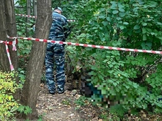 Убита чиновница Роспотребнадзора Наталья Радченко: преступник пойман и допрошен