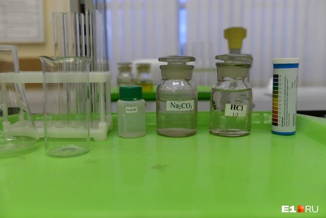 Фото заставочное | Источник: Артём Устюжанин / E1.RU