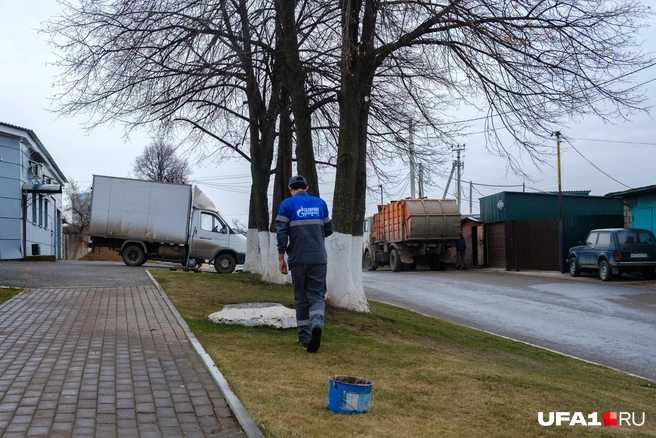 Занимается благоустройством территории | Источник: Булат Салихов / UFA1.RU