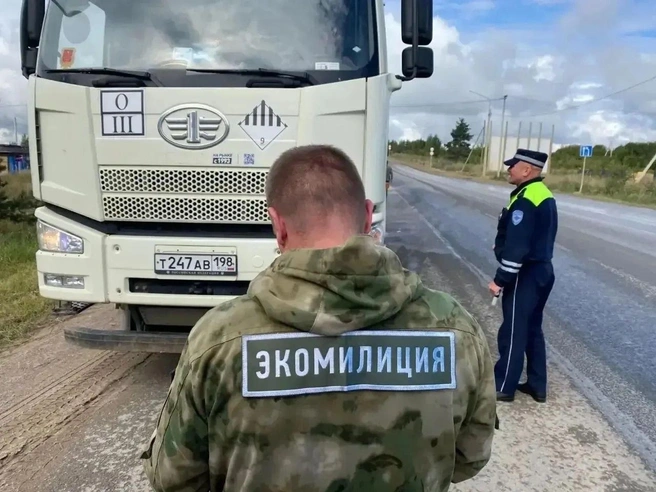 Жители Ленобласти пожаловались на мусор вдоль дорог у КПО «Кингисепп» | Источник: Александр ДроZденко