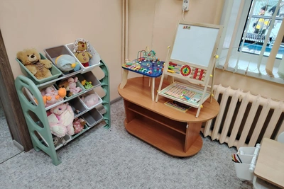 Открытие второго семейного МФЦ в Костромской области