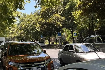 В Сочи на Новый год отменят плату за парковки